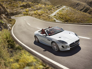 20165.0T V8 R (q) w^(gun)