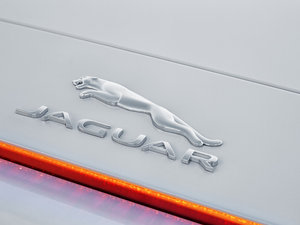 20165.0T V8 R (q) (x)(ji)^