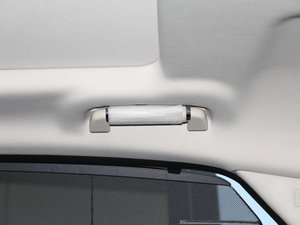 2016L 2.0T (q)̄(w) g