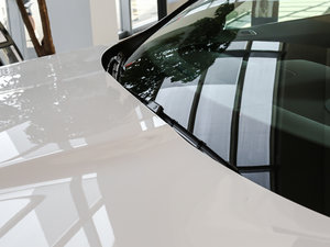 20183.0 SC (q)R-Sport\Ӱ ˢ