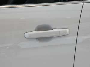 20183.0 SC (q)R-Sport\Ӱ {T