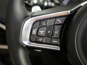 20182.0T 250PS R-SPORT\(yn)Ӱ п؅^(q)