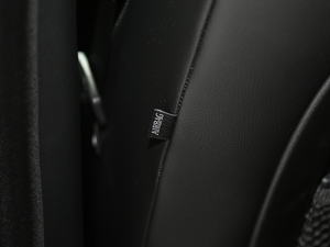 20182.0T 300PS R-SPORT\Ӱ g