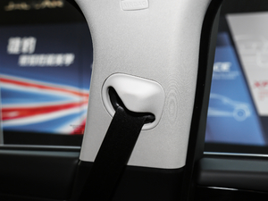 2018250PS (q)L(fng)A g