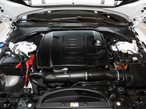 2018250PS (q)L(fng)A 