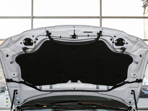 2018250PS (q)L(fng)A 