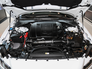 2018250PS (q)L(fng)A 