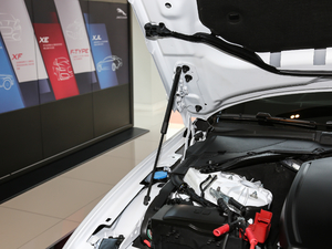 2018250PS (q)L(fng)A 