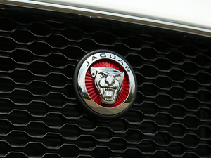 2018250PS (q)L(fng)A (x)(ji)^