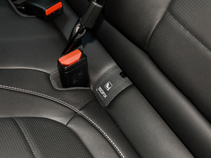 201930t R-SPORT \Ӱ g