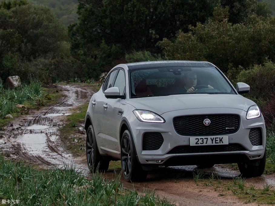 2017ݱE-PACE() R DYNAMIC