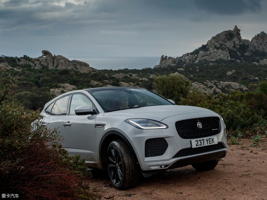 2017ݱE-PACE() R DYNAMIC