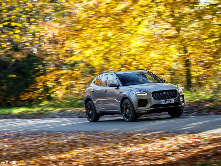 2017ݱE-PACE() R DYNAMIC