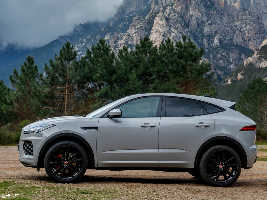 2017ݱE-PACE() R DYNAMIC