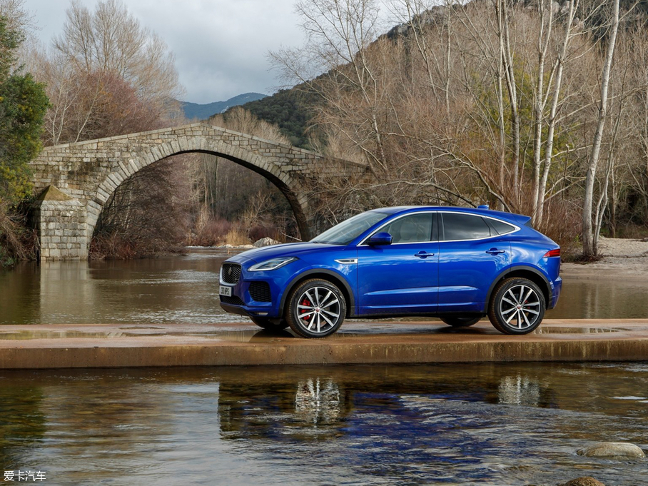 2017ݱE-PACE() R DYNAMIC