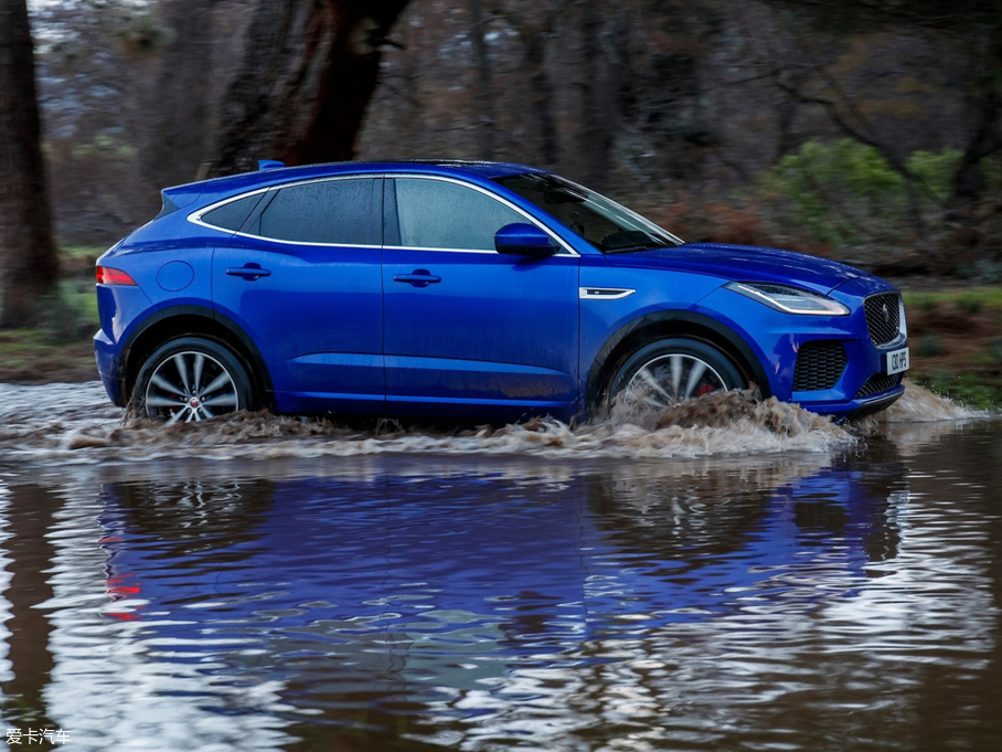 2017ݱE-PACE() R DYNAMIC