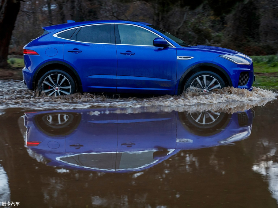 2017ݱE-PACE() R DYNAMIC