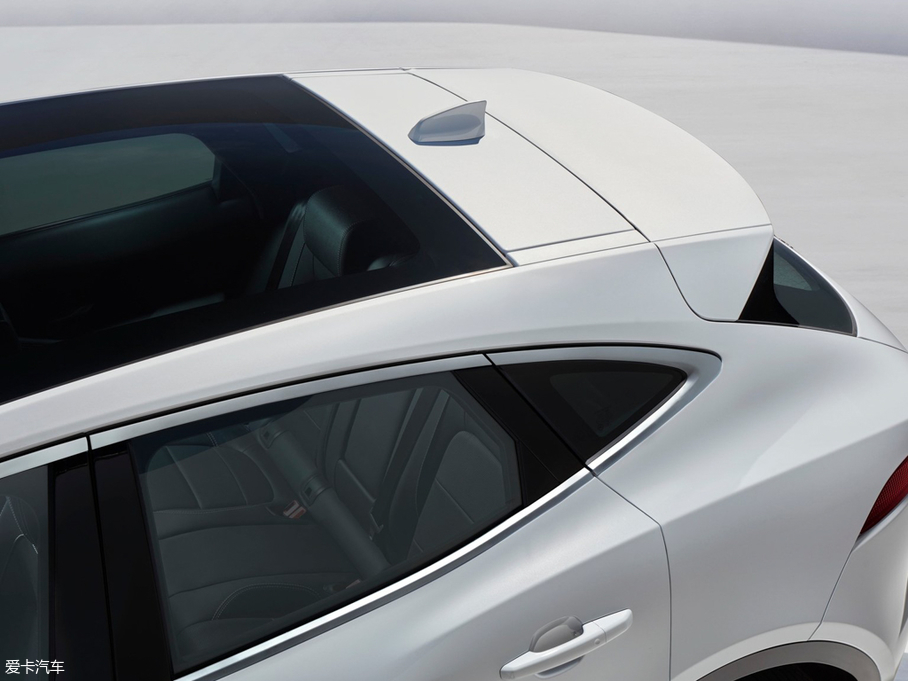 2017ݱE-PACE() R DYNAMIC