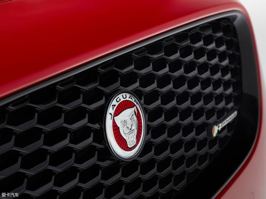 2017ݱE-PACE() R DYNAMIC