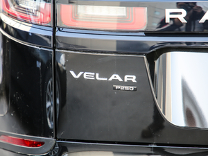 2019250PS R-Dynamic S ^