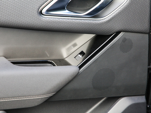 2019250PS R-Dynamic S g