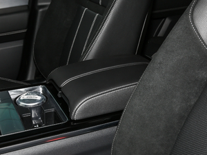 2019380PS R-Dynamic SE 