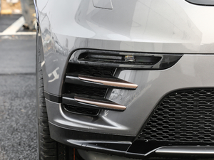 2019300PS R-Dynamic S ^