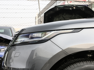 2019300PS R-Dynamic S ^