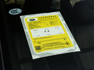 2019300PS R-Dynamic S ŲͺĘ(bio)ʾ