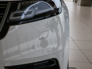 2019250PS R-Dynamic S (x)(ji)^