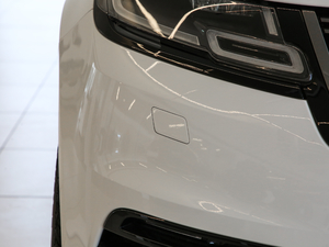 2019250PS R-Dynamic S (x)(ji)^