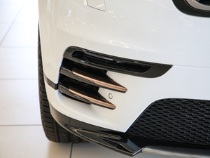 2019250PS R-Dynamic S (x)(ji)^