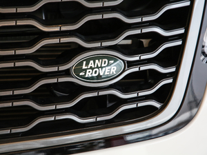 2019250PS R-Dynamic S (x)(ji)^