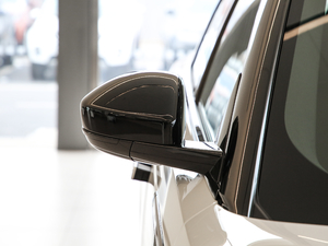 2019250PS R-Dynamic S (x)(ji)^