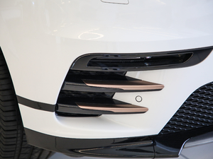 2019250PS R-Dynamic S (x)(ji)^