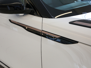 2019250PS R-Dynamic S (x)(ji)^