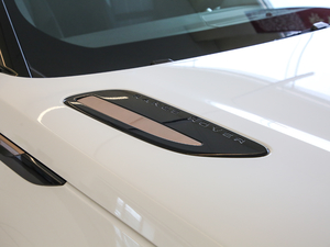 2019250PS R-Dynamic S ^