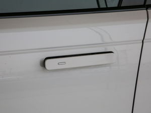 2019250PS R-Dynamic S {T