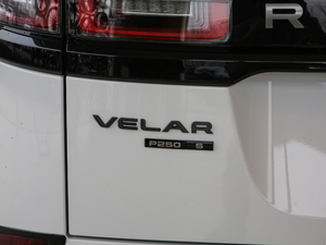 2019250PS R-Dynamic S ^