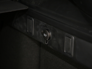 2019250PS R-Dynamic S g