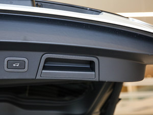 2019250PS R-Dynamic S g