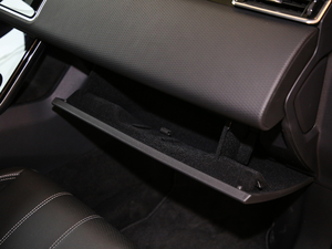 2019250PS R-Dynamic S 