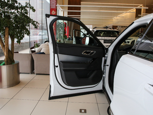 2019250PS R-Dynamic S {λ܇T