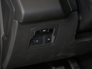 2019250PS R-Dynamic S v܇Ƅ