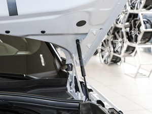 2019250PS R-Dynamic S 