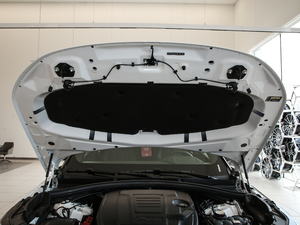 2019250PS R-Dynamic S 