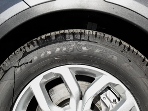 20193.0 V6 SE ݆̥Ʒ