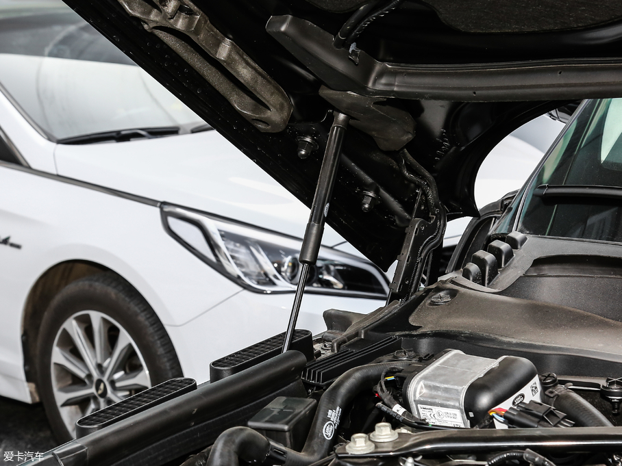 2019 5.0 V8 焓(chung)L