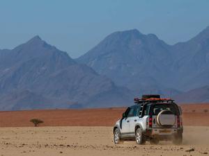 2020110 P400 S Ӣ w^