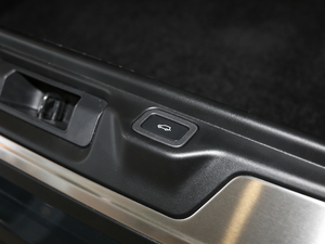 20205.0 V8 SC 50 SVذ g